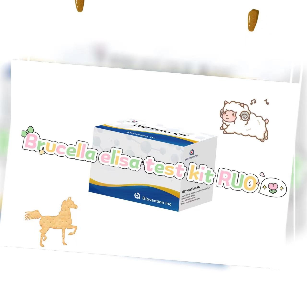 Brucella elisa test kit RUO Elisa Test Kit Of Enzyme-Linked Product RESEARCH USE ONLY Animal Test