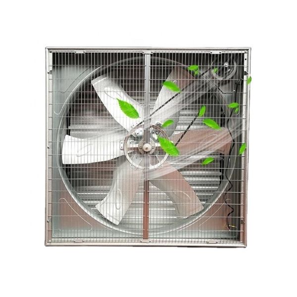 Industrial Cooling Poultry Farm Fan Warehouse Greenhouse Poultry Farm Ventilatio