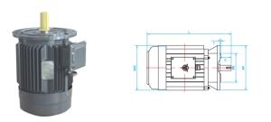 China YE2 3 Phase Asynchronous Motor Cast Iron Horizontal Motor wholesale