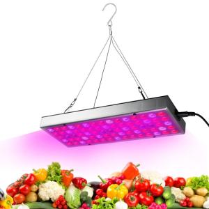 China Red Blue 150W 289 Leds Dimmable Indoor Plant Grow Lights wholesale