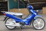 OEM 110cc Cub Motorcycle / Riders Super Cub With Disc Brake Petro Fuel