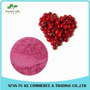 China 100% Natural Fruit Cranberry Juice Powder wholesale