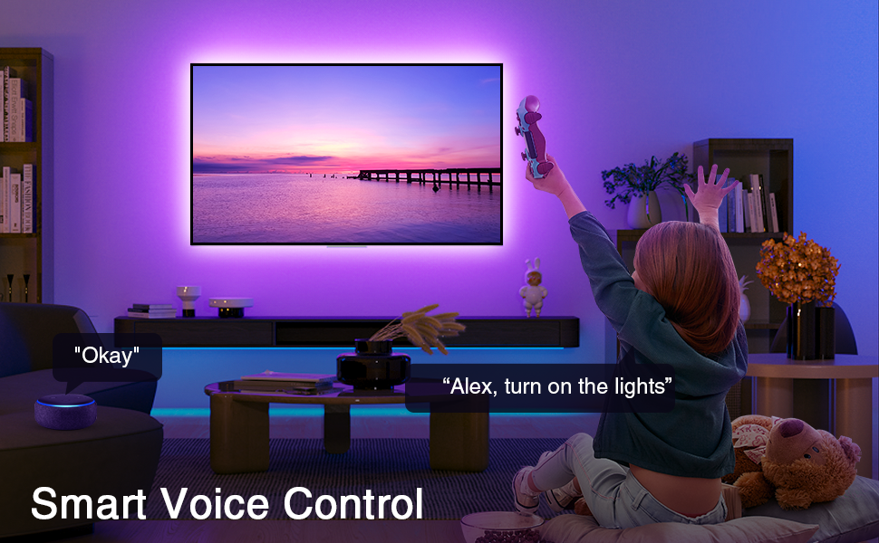 0.5kg HDMI Sync TV LED Backlights With Music Sync Function 4K HDR Support HDMI Strip
