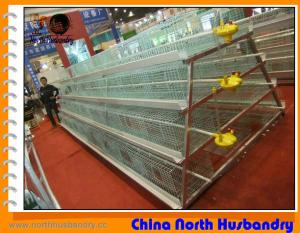 China High quality poultry farm equipment for sale wholesale