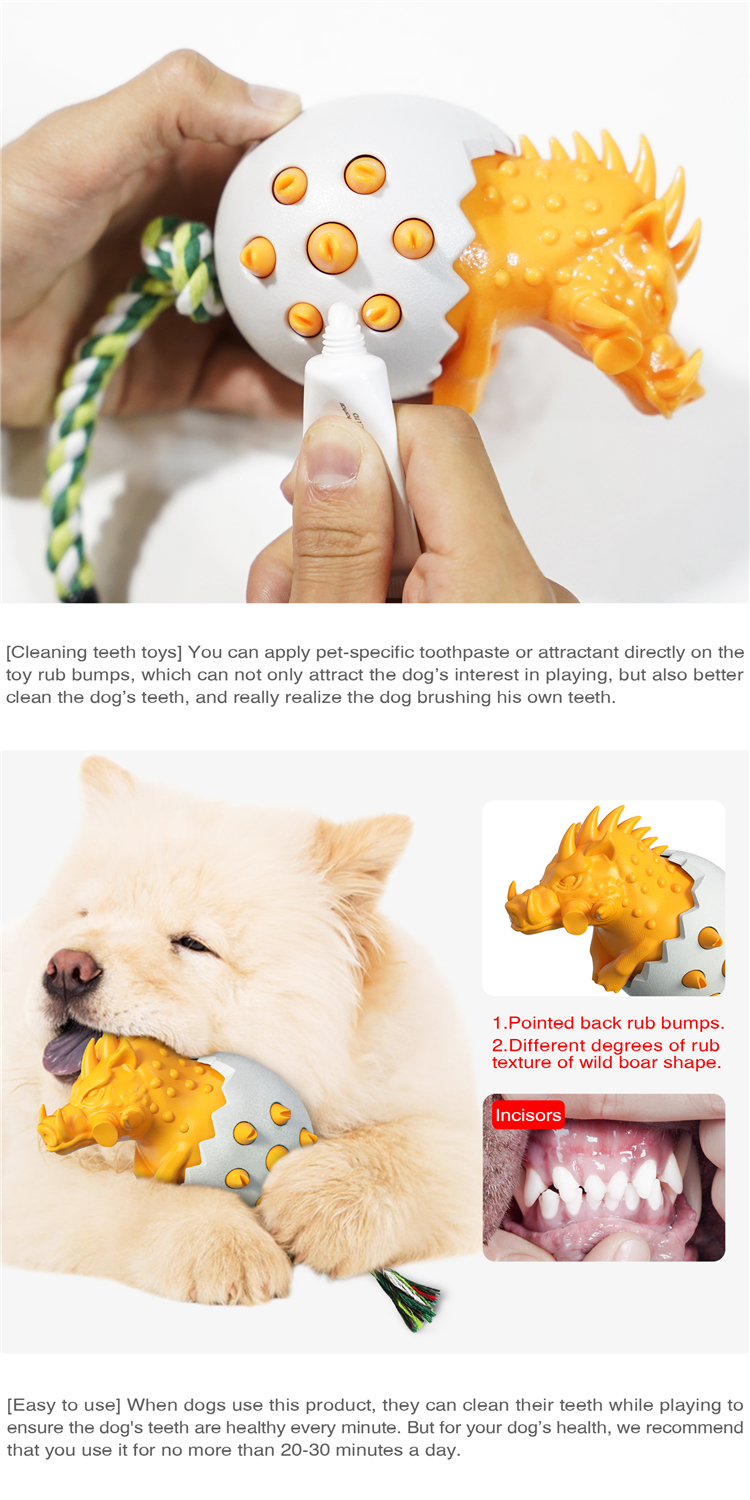 Most Popular High Quality Bite-resistant Star Pet Dog Cooling Pet Training Clean Teeth Chew Dog Toy