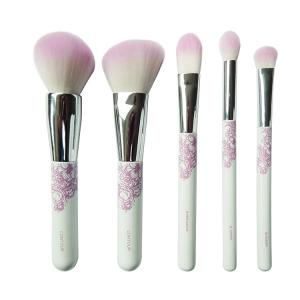 China 5PCS Mini Travel Makeup Brush Set wholesale