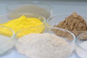 China industrial cellulase,Cellulase Hemicellulase Pulp And Paper Enzymes Powder / Liquid wholesale