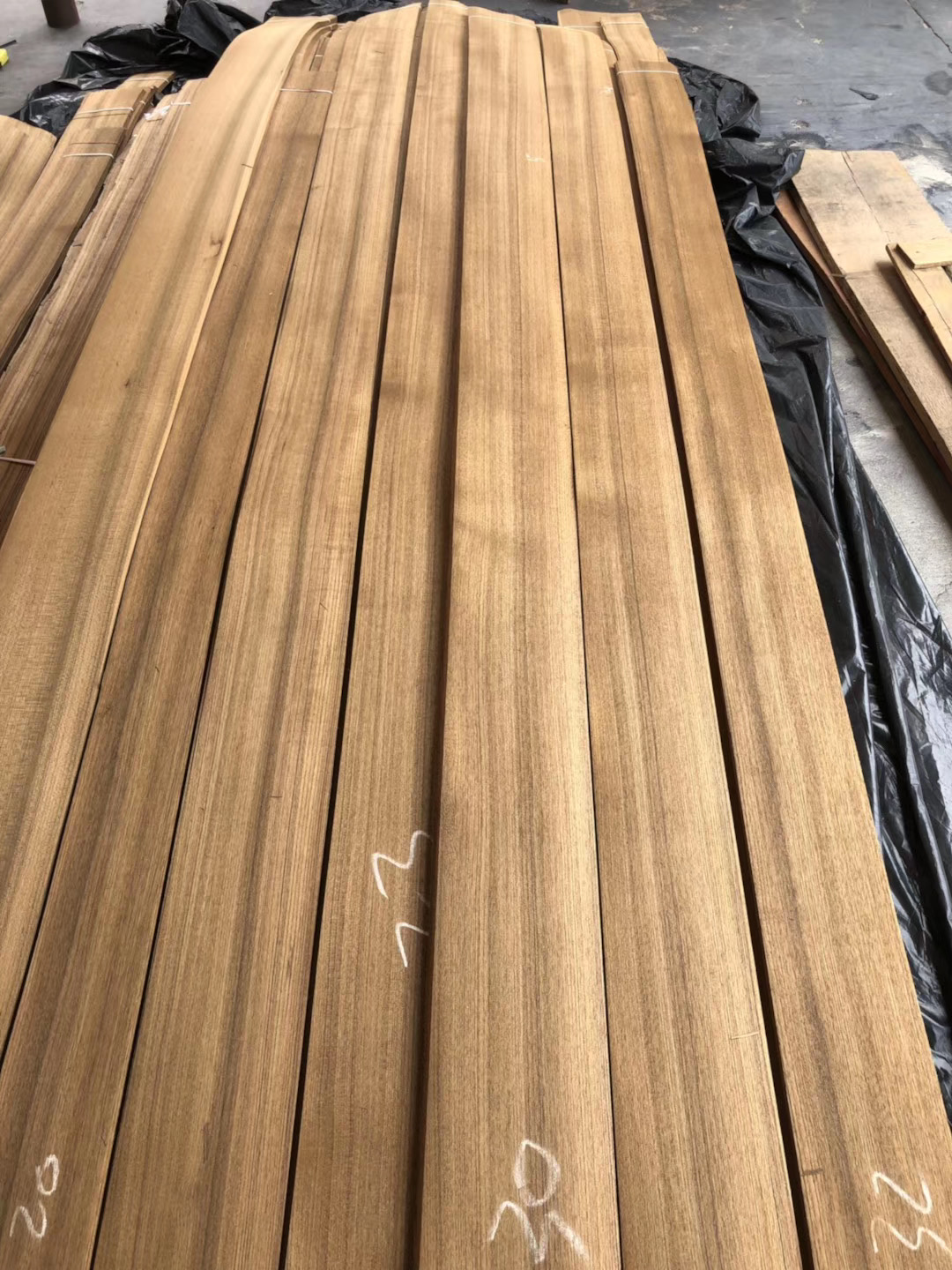 Hot Sale Natural Teak Wood Veneer 0.45mm 1mm 2mm 3mm Natural Plain Cut Veneer Wood Teak Veneers