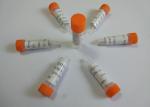 Anti-PPX Mouse Monoclonal Antibody Anti-Propoxyphene