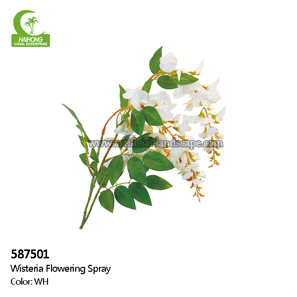 Wisteria Flowering Spray