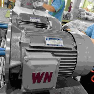 China IE5 Variable Speed Electric Motor wholesale