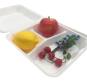 China 8 Inch 38g Clamshell Biodegradable To Go Containers wholesale