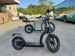 Richbit H300 Fat Electric Scooter Cycle High Speed 50km/H 1000w 48v 16ah 26x4.0