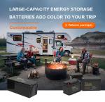 Rechargeable Lead Acid Replacement Battery LiFePO4 Battery For RV EV Golf Cart