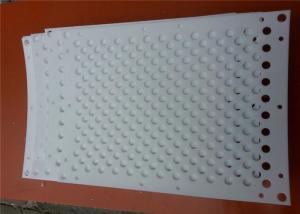 China 2000mm Length 1000mm Width Plastic Perforated Sheet wholesale