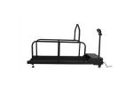 Rehabilitation Training Dog Training Treadmill For Small Pet Animals