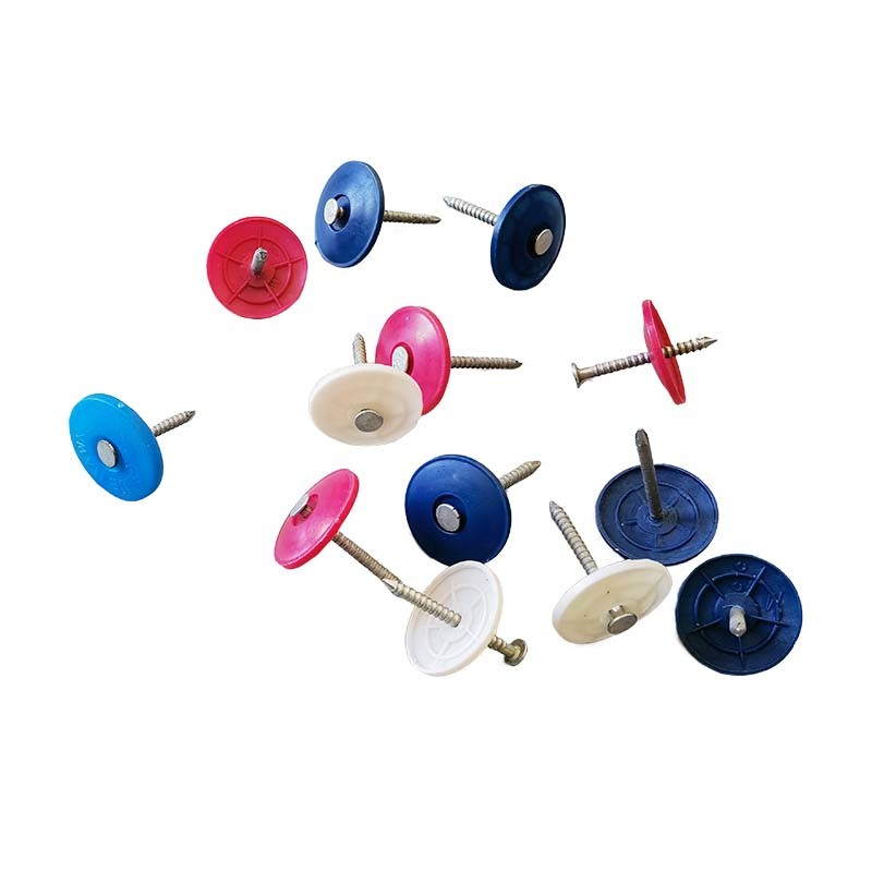 Hot Electro Galvanized Plastic Cap Nails Heat Preservation Construction Fixings