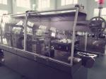 Auto Blister Pack Sealing Machine / Pharmaceutical Packaging Machinery