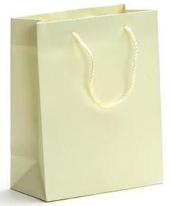 China White Kraft Paper Bags, Luxury Shopping Paper Bags wholesale