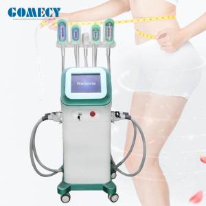China Fat Freezing Cryolipolysis Slimming Machine 1000W Cellulite Reduction Equipment wholesale