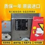 A4VSO250EO2/22R-VZB13N00 A4VSO500LR2G/30R-PPB13N00 GermanRexrothplungerpumpformi