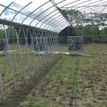 Top Ventilation Multi Span Plastic Tunnel Greenhouse Rustproof
