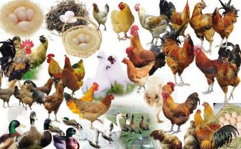 Hebei Junyu Pharmaceutical Co.,Ltd
