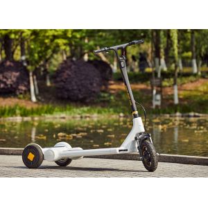 China 11.3Ah Battery 30KG Electric Stand Up Scooter wholesale