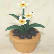 China Model Ceramic pot Flower CF62 wholesale