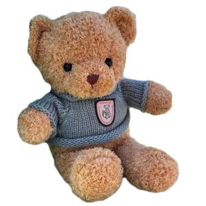 China 25cm Brown Plush Rag Doll Teddy Bear Girlfriend Birthday Gift wholesale