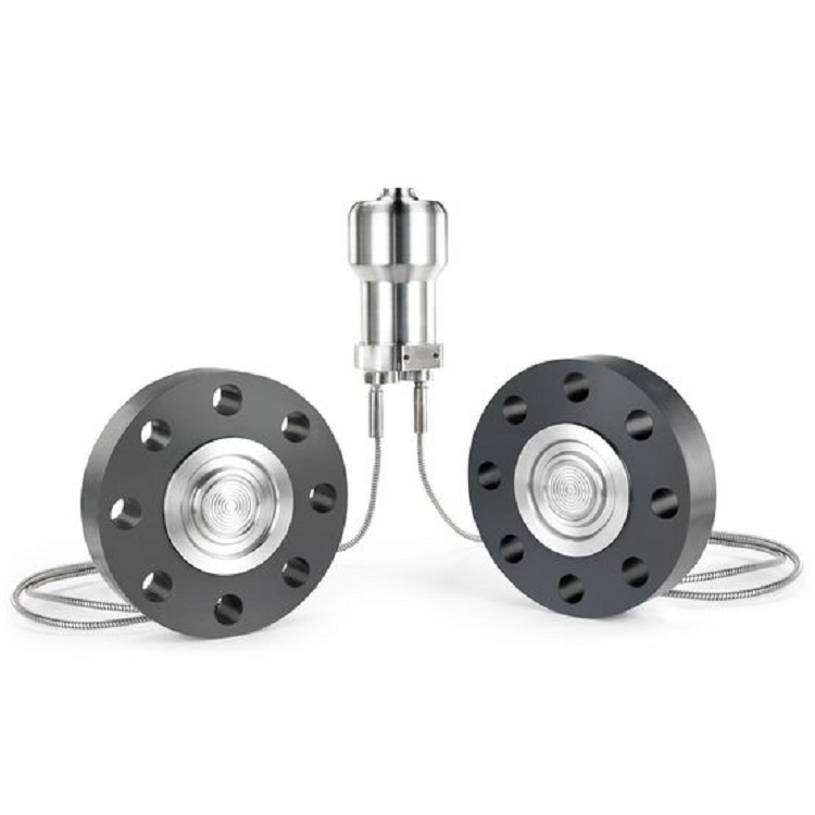 Rose-Mount 3251 Subsea Qualified Differential Pressure Transmitter With Rose-Mount Pressure Transmitter