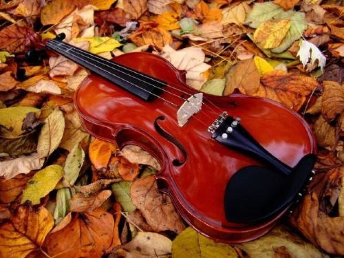 china advanced professional handmade stringed instrument China made brand all solid 4/4 44 violin [Back panel material