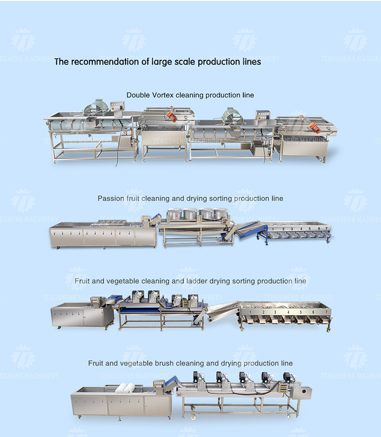 0.375KW Industrial Vegetable Processing Machine Citrus Passion Fruit Pre - Foaming Elevator Machine