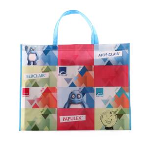 China Ink Printing OPP Laminated Shopping Non Woven Packaging Bags wholesale