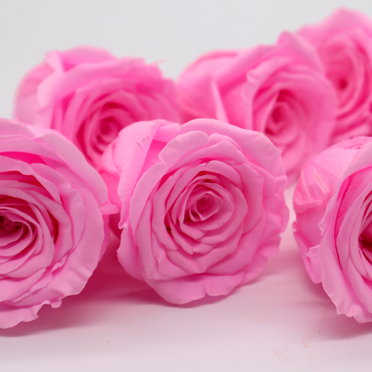4-5cm Preserved Rose Heads Allergy Friendly Only For Indoor Use