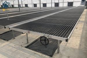 China Greenhouse Movable Plastic Seedling Tray Rolling Bench Seedbed For Orchid Farming wholesale