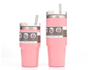 China Customized Stainless Steel Water Tumbler With Straw Double Wall Insulated wholesale