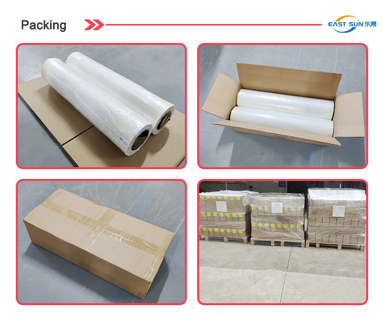 Single Double Side Matte Surface DTF PET Film Roll 75U 30cm 33cm 60cm