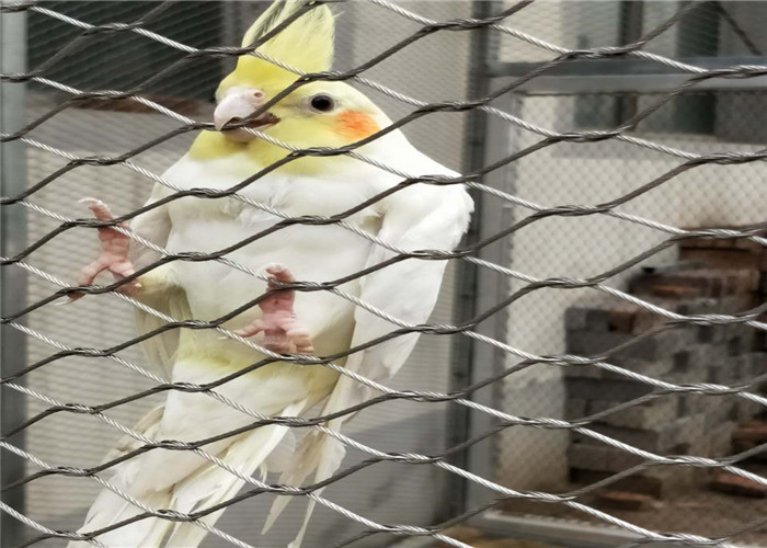 7*19 Stainless Steel Aviary Mesh , Aviary Wire Mesh For Aviary Building
