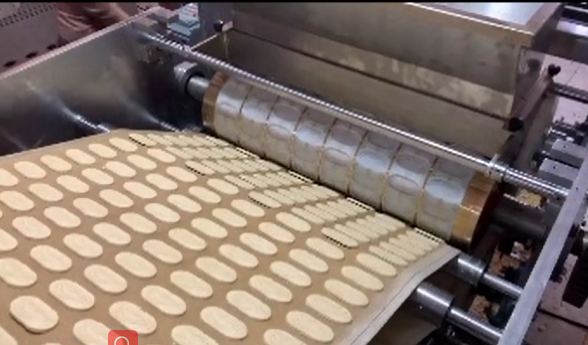 Skywin Hot Selling New Rotary Molder Soft Biscuit Making Machine Stainless Steel With Factory Price
