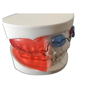 China Dental Orthodontic Appliances Simple Install HighTech Biological Material wholesale