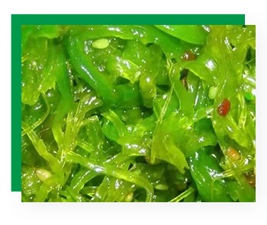 Frozen Seasoned Seaweed Salad Customized Packaging for 100% Natural and Healthy Sushi