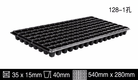 32cells PS 54cm Length Plastic Seed Trays Planting Flats With Dome
