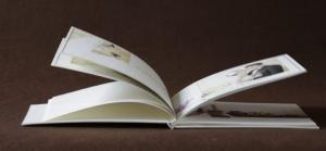 China Unique Birthday / Kids / Landscape Hardcover Photo Album 10x16 240gsm / 256gsm wholesale