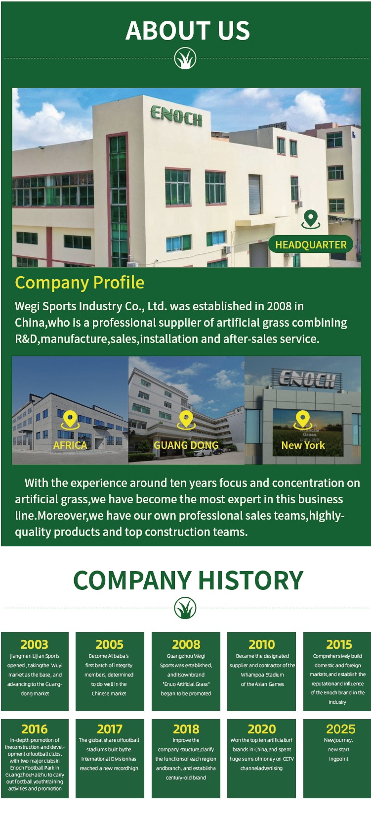 Synthetic Artificial Football Pitches Stable Hybrid Grass System