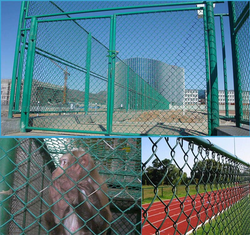 Vinyl coated cyclone fence ,chain wire fence
