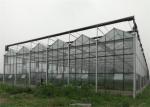 Customized Agricultural Glass Greenhouse 3m - 6m Side Height Stable Structure