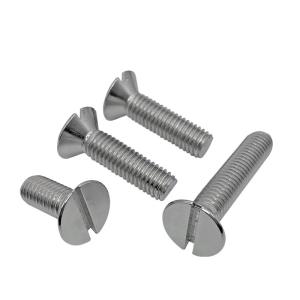 China Good Sale M8 M10 Stainless Steel SS304 Slotted Flat Head Screw wholesale