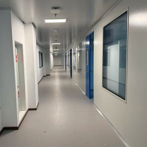 HUAAO Modular Cleanroom Walls Panel Custom Configurations Engineered for