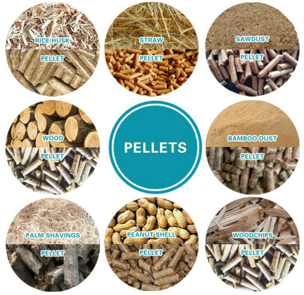 CE Wood Pellet Mill Plant Wood Shavings Wood Log Wood Pellet Mill Machine Heating